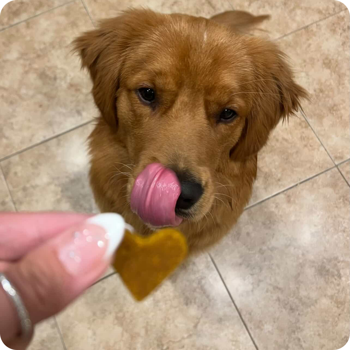 Beefy Sweet Potato Bites