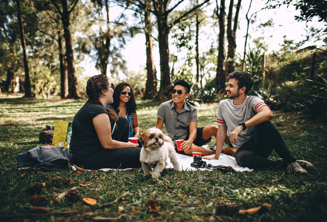 CBD Oil For Pets: What Is It – Side Effects – What To Look For