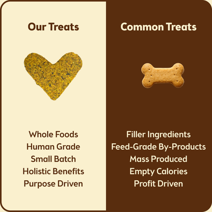 Peanut Butter Pumpkin Bites