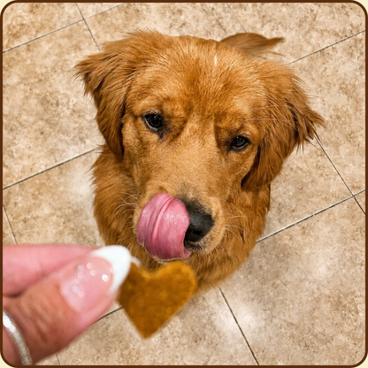 Peanut Butter Pumpkin Bites