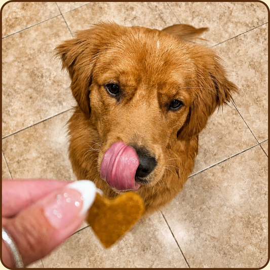 Beefy Sweet Potato Bites