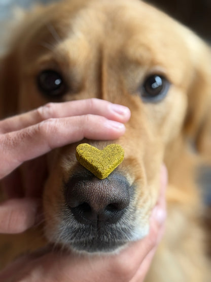 Premium Holistic Daily Wellness Dog Treat - 5oz