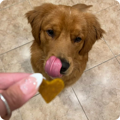 Beefy Sweet Potato Bites